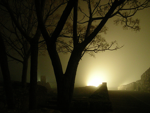 nieblas noche 072
